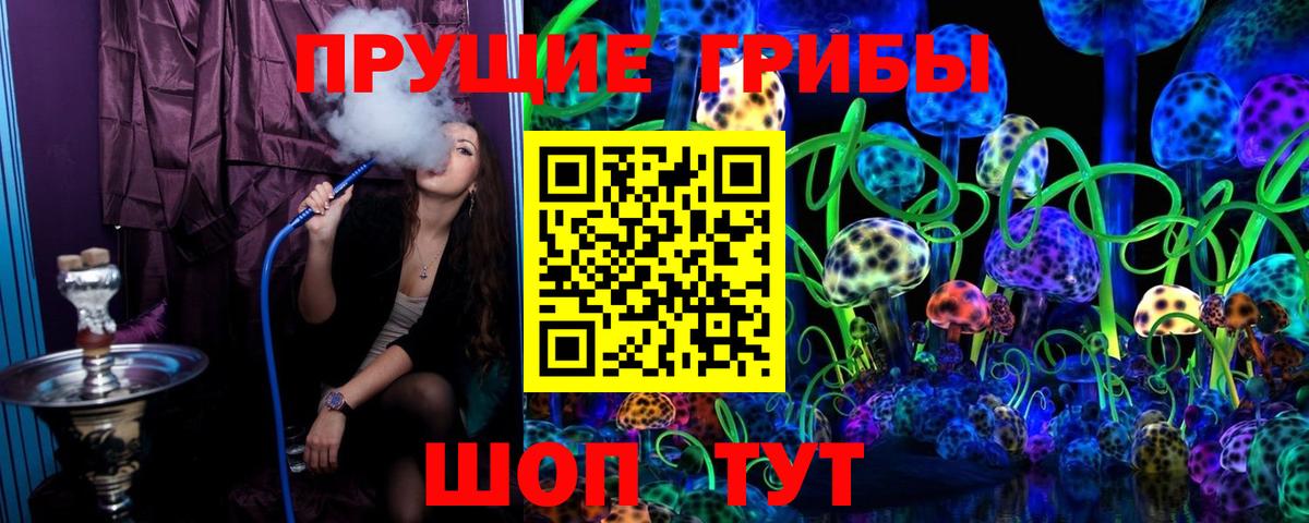 Галлюциногенные грибы Psilocybe Майкоп