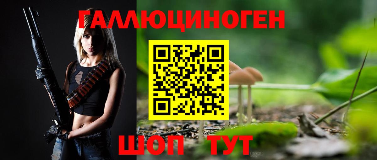 Майкоп  цены   Вход с VPN  Псилоцибиновые грибы прущие грибы  Галлюциногенные грибы Psilocybine cubensis 