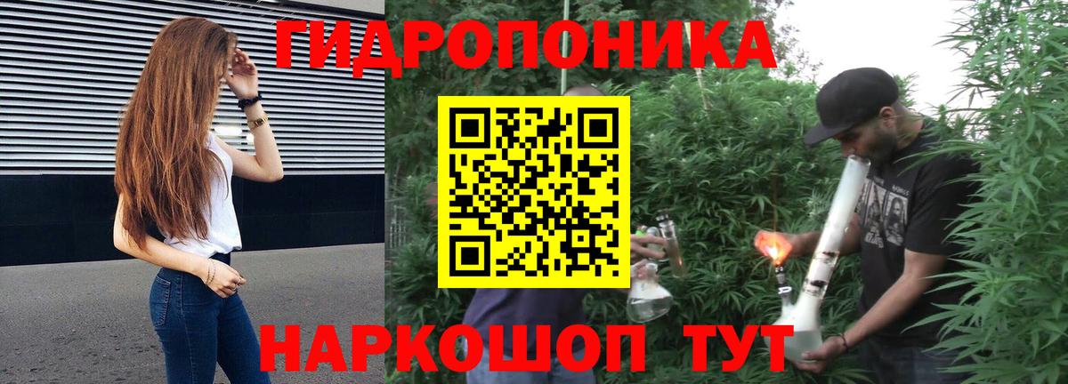 Шишки марихуана THC 21% Майкоп